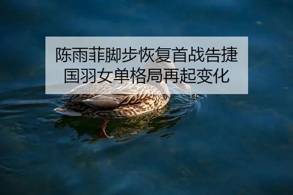 陈雨菲脚步恢复首战告捷 国羽女单格局再起变化
