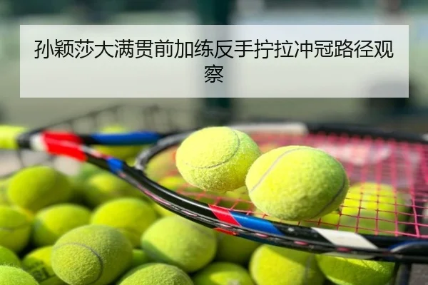 孙颖莎大满贯前加练反手拧拉冲冠路径观察